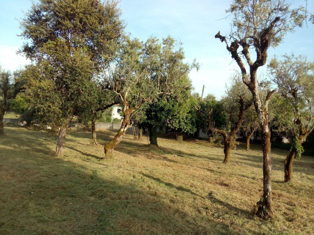 Villa Casa Do Olival Figueiro Dos Vinhos Esterno foto